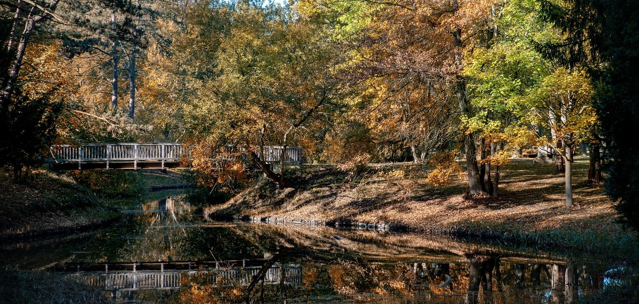 Etter d&oslash;dsfallet: Kontakte begravelsesbyr&aring;